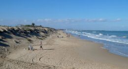 Spain CLOSES its beaches over invasion of deadly sea creatures