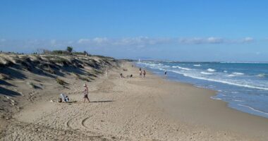 Spain CLOSES its beaches over invasion of deadly sea creatures