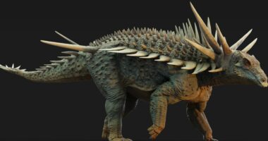 Spikes, a tail weapon and a shield: Was this the world's weirdest dinosaur?