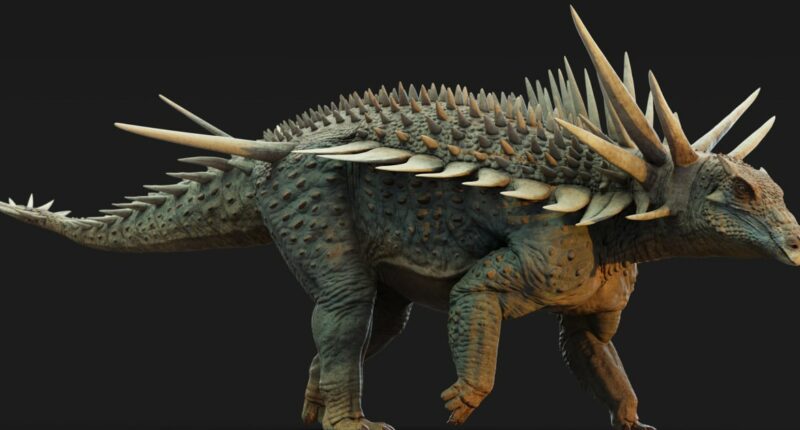 Spikes, a tail weapon and a shield: Was this the world's weirdest dinosaur?