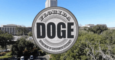 St. Pete residents protest Florida DOGE on first day of audit