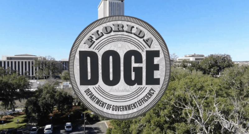 St. Pete residents protest Florida DOGE on first day of audit