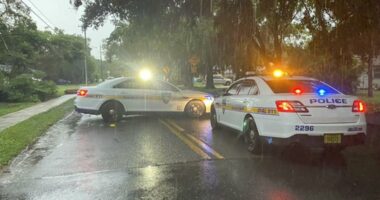 Stabbing in Jacksonville leaves woman dead, police say