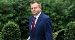 Starmer's Brexit chief pledges to lock us into CLOSER ties with EU