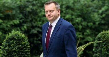 Starmer's Brexit chief pledges to lock us into CLOSER ties with EU