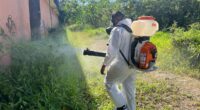 States battling 'bone-breaking' virus brought in from Asia and Africa