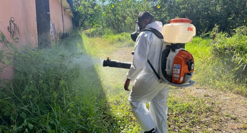 States battling 'bone-breaking' virus brought in from Asia and Africa