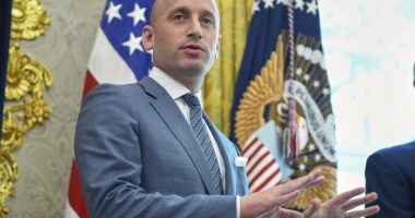 Stephen Miller urged to sue CNN panelist