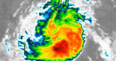 Storm Erin to become hurricane in days with US strike possible