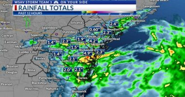 Storm Team 3: Heavy rain likely for the weekend, mild high temps
