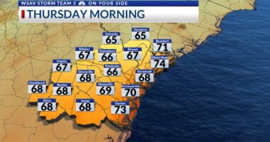 Storm Team 3: Stray showers Thursday & Friday, soggy Labor Day weekend