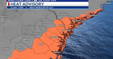 StormTeam 3: Hot & humid again with isolated storms