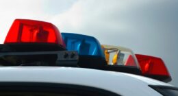Student dies in stabbing at Phoenix high school