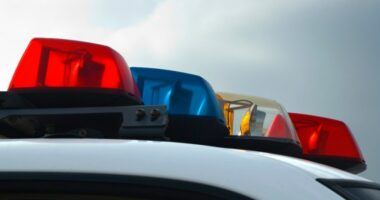 Student dies in stabbing at Phoenix high school