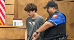 Student who brought pistol to Texas high school pleads guilty