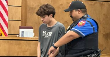 Student who brought pistol to Texas high school pleads guilty