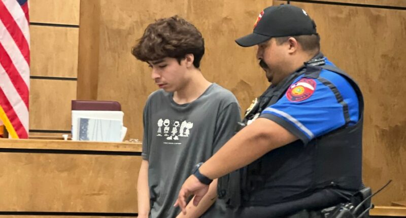 Student who brought pistol to Texas high school pleads guilty