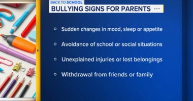 Study shows impact of school connectedness on bullied teens