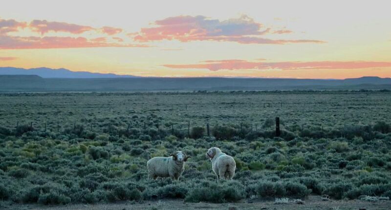 Stunning Wyoming ranch bigger than NYC up for sale