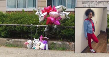 Suspect at large after mom of 2 is shot at bus stop: Police