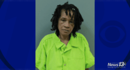 Suspect identified after 4-month-old boy left alone in car dies, South Carolina authorities say