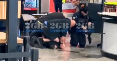 Sydney Airport is plunged into lockdown after 'gun was fired'