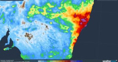 Unfortunately for NSW and parts of Queensland, the wet and cold weather is about to get much worse, according to The Bureau of Meteorology's ï»¿Senior Meteorologist, Angus Hines.