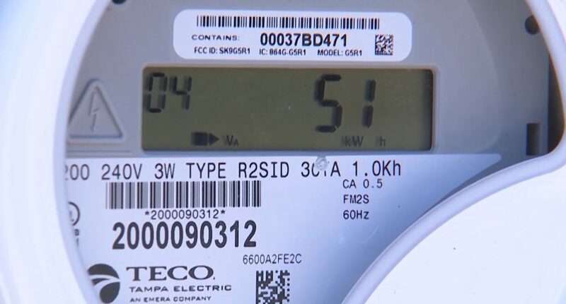 TECO leaders expected to give updates on hurricane season plans