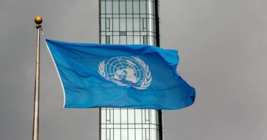 Taliban investigating death threats against United Nations' Afghan female staff, report says