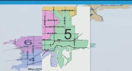 Tampa voters weigh in on District 5 city council candidates