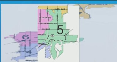 Tampa voters weigh in on District 5 city council candidates