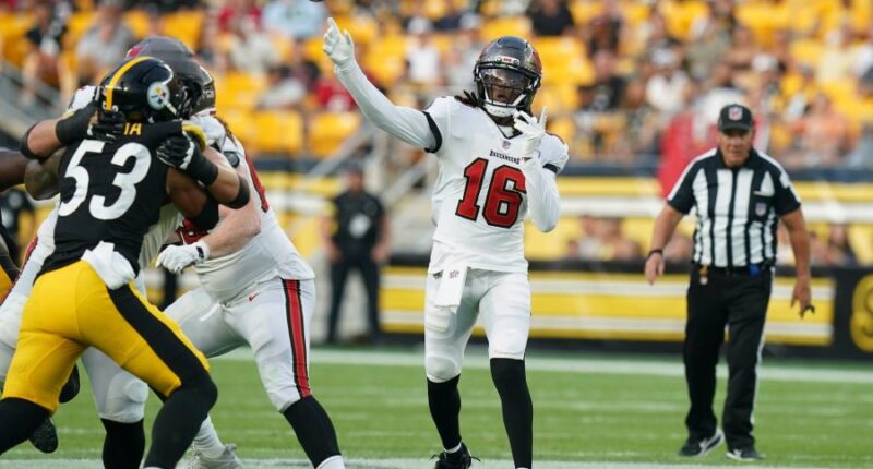 Teddy Bridgewater throws 2 TDs as the Buccaneers slip by the Steelers 17-14 in preseason
