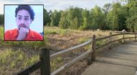 Teen attacks woman, 82, leaving her unconscious: Cops