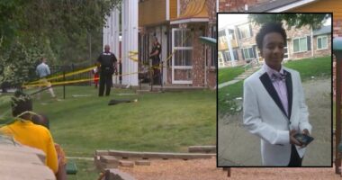 Teen blamed being 'picked on' for killing his brother
