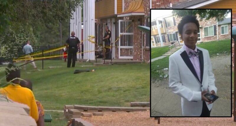 Teen blamed being 'picked on' for killing his brother
