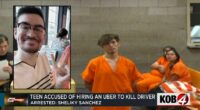 Teen gunned down Uber driver to 'let some steam off': Police