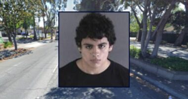 Teen livestreamed random stabbing on Discord: Cops