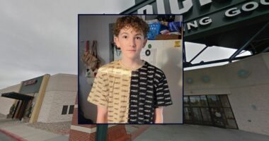 Teen pleads to helping murder boy defending his girlfriend