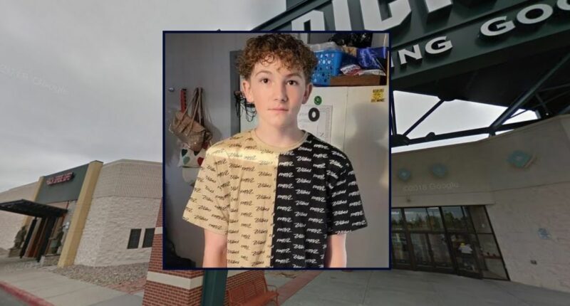 Teen pleads to helping murder boy defending his girlfriend