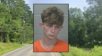Teen tried to put grandma 'out of her misery': Police