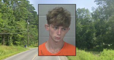 Teen tried to put grandma 'out of her misery': Police