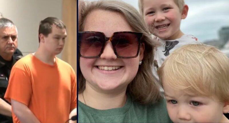 Teen who gunned down sister-in-law, nephews to plead guilty