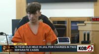 Teen who killed Uber driver faces new charges: Prosecutors