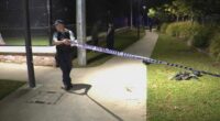 Police found six men with varying injuries who were allegedly attacked by four other men following an argument.