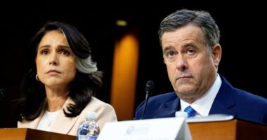 Tensions rise between Gabbard and CIA chief after her disclosure of undercover officer's name, insiders say