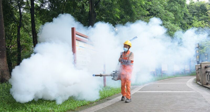 Terrifying warning that deadly new China virus is already HERE