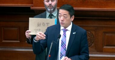 Texas House approves bill to allow ivermectin use without prescription