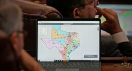 Texas Senate passes new Republican-drawn congressional map
