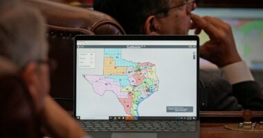 Texas Senate passes new Republican-drawn congressional map