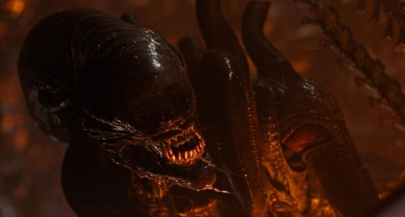 The Only Xenomorph Explainer You Need Before Alien: Earth